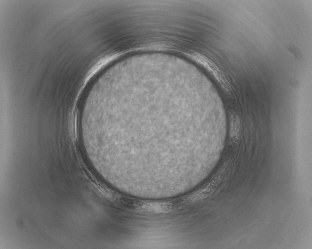 X0000115401078200912151516