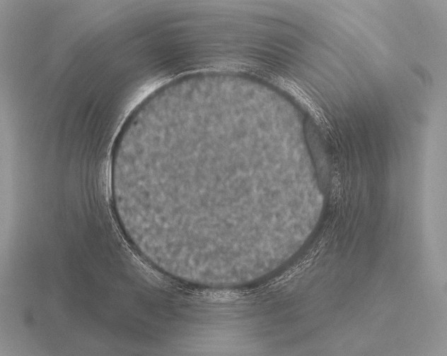 X0000115401079200912151516