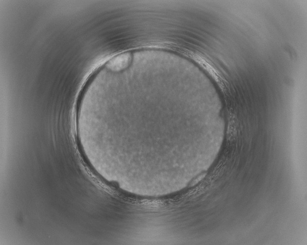 X0000115401080200912151516