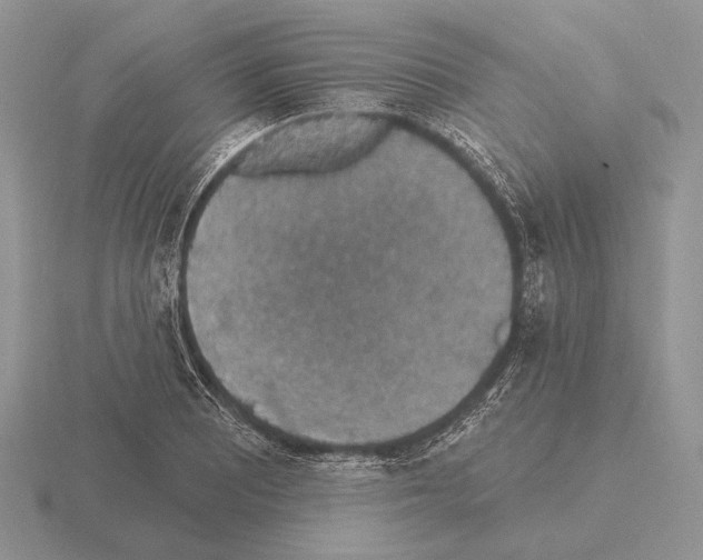 X0000115401081200912151516