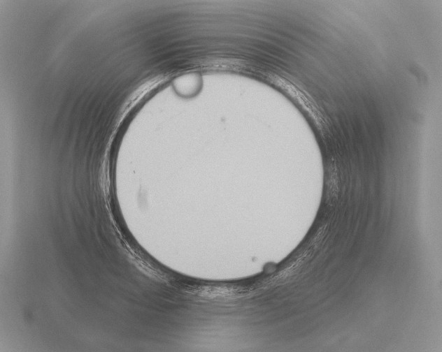 X0000115401082200912151516