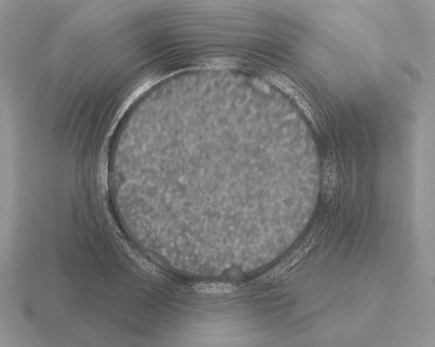 X0000115401083200912151516