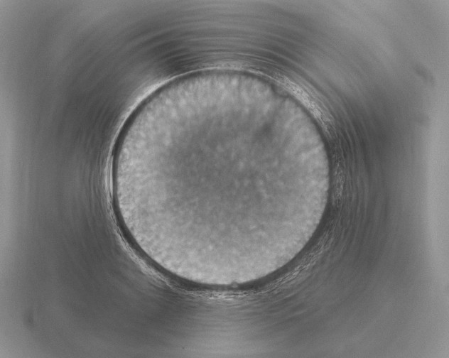 X0000115401084200912151516