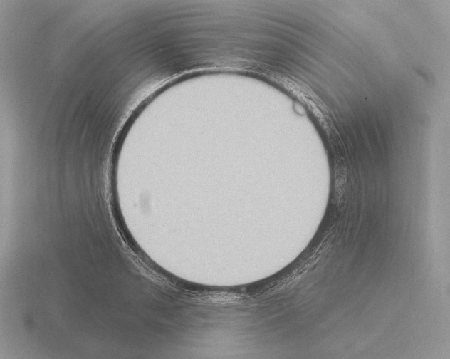 X0000115401085200912151516