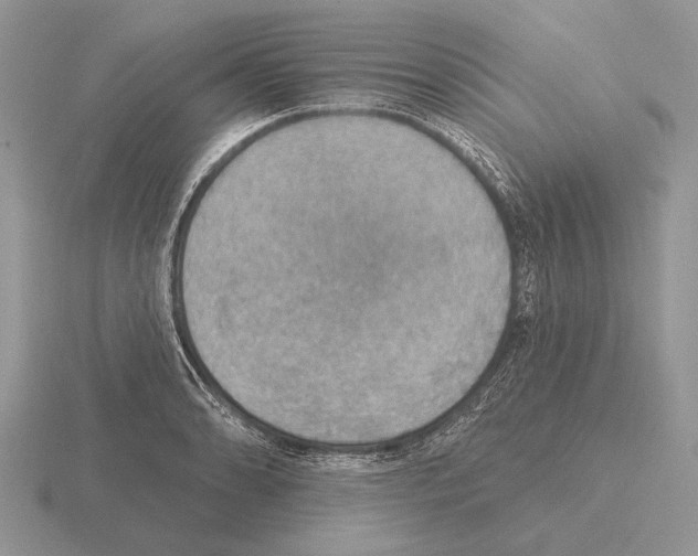 X0000115401086200912151516