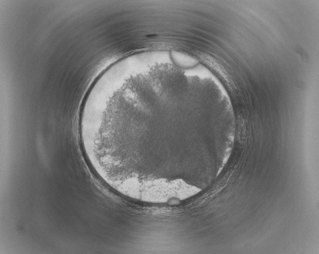 X0000115401087200912151516