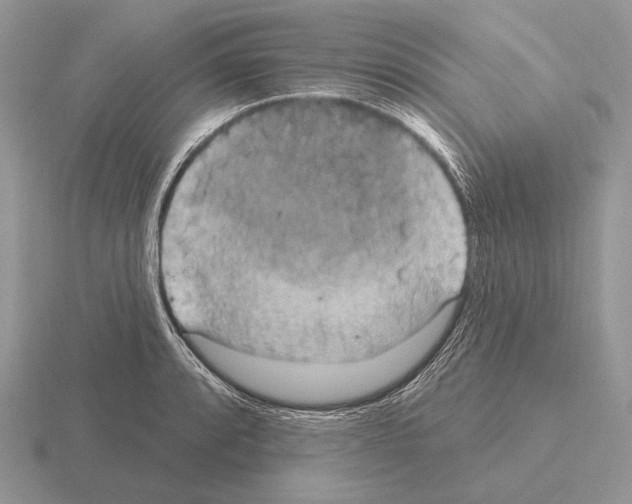 X0000115401088200912151516