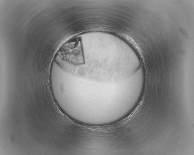 X0000115401089200912151516