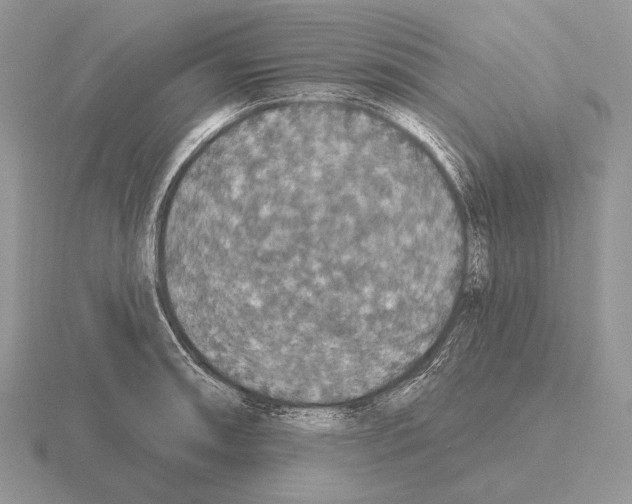 X0000115401090200912151515