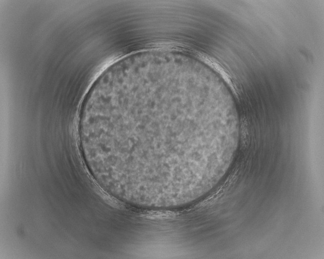 X0000115401091200912151515