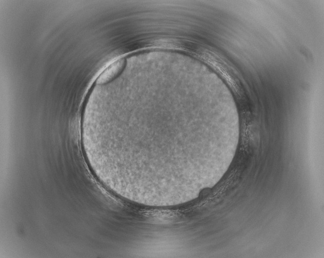 X0000115401092200912151515