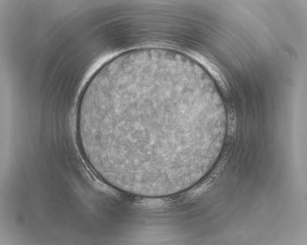 X0000115401094200912151515