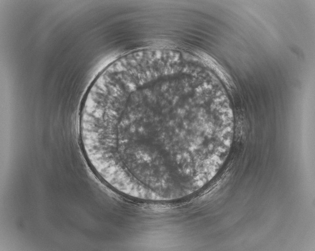 X0000115401095200912151515