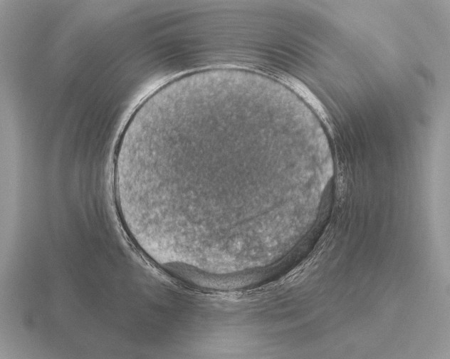 X0000115401096200912151515