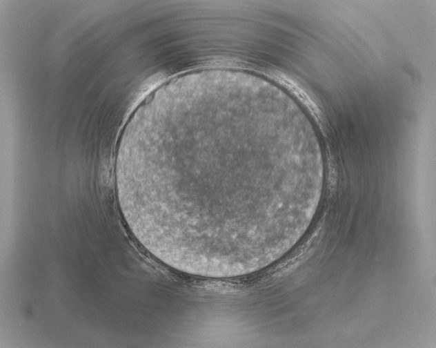 X0000115401097200912151515