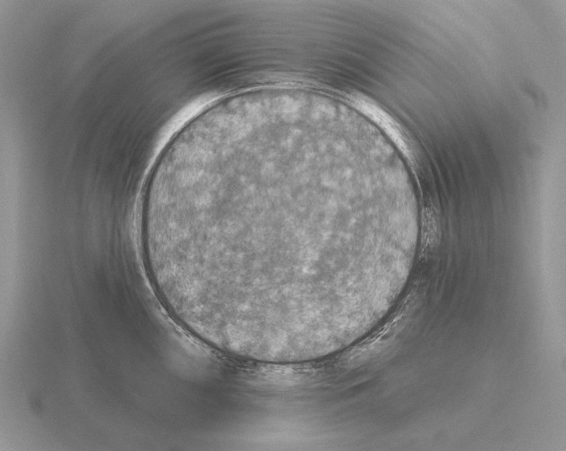 X0000115401098200912151515