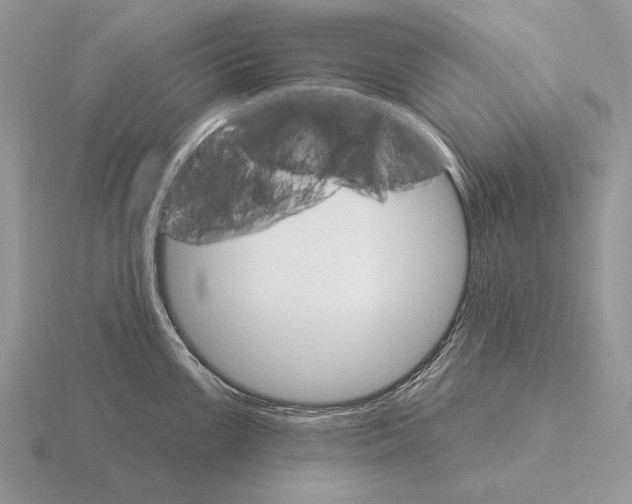 X0000115401099200912151515