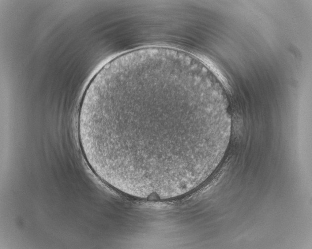 X0000115401100200912151515