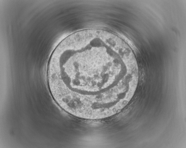 X0000115401103200912151515