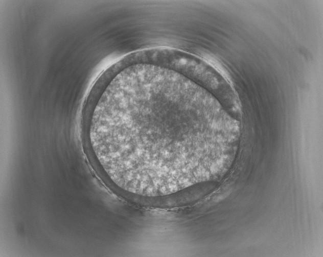 X0000115401104200912151515