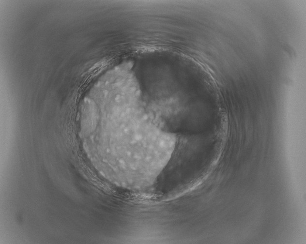 X0000115401105200912151515