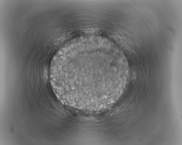 X0000115401106200912151515