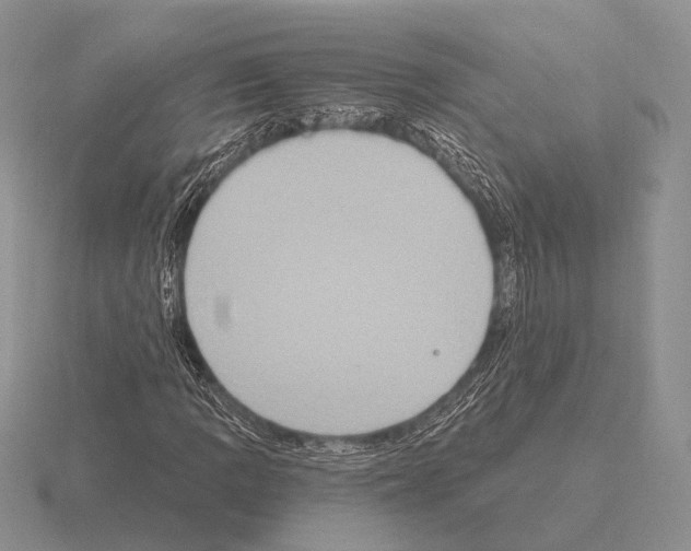 X0000115401109200912151515