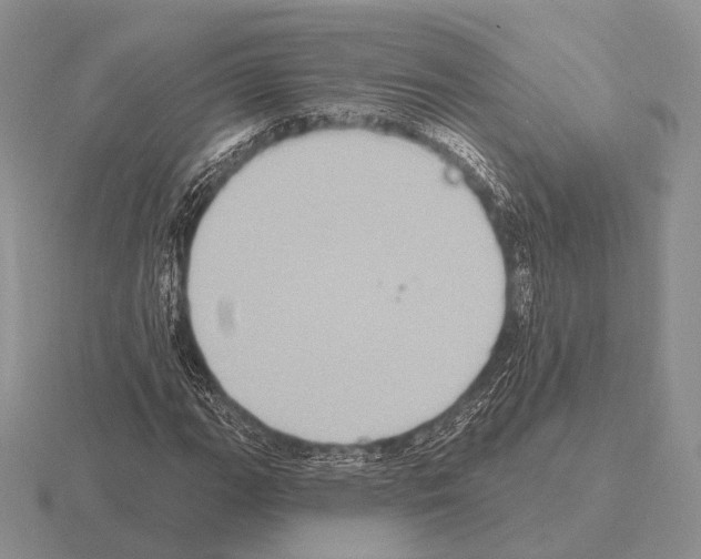 X0000115401111200912151515