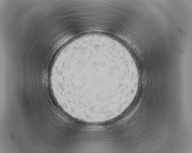 X0000115401113200912151515