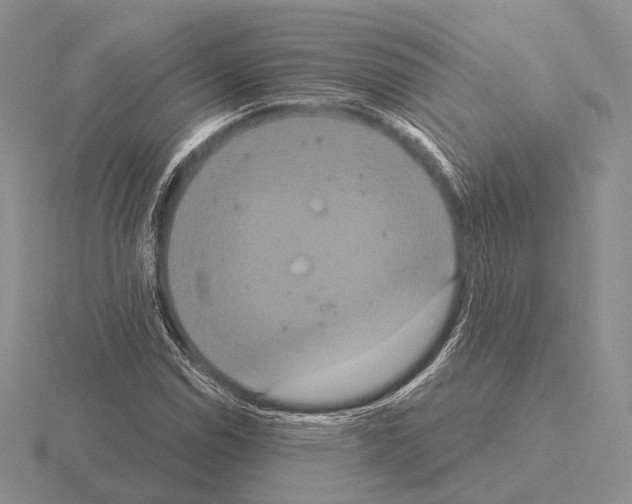 X0000115401114200912151515