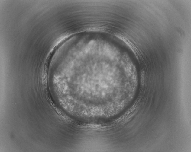 X0000115401115200912151515