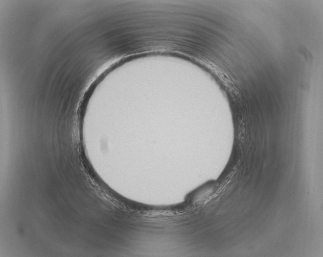 X0000115401118200912151515