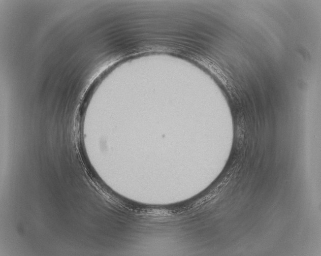 X0000115401119200912151515