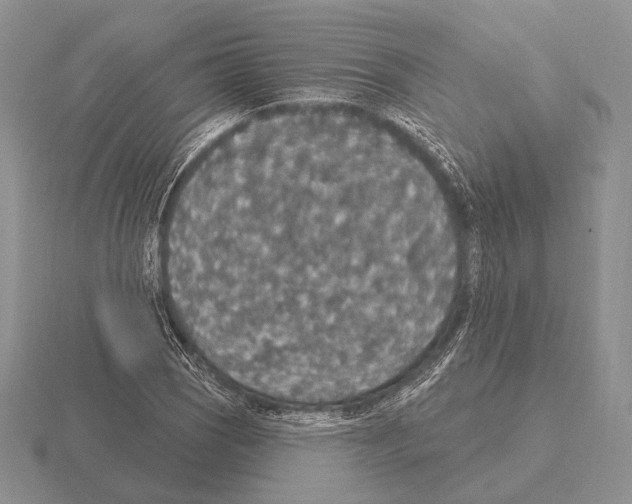 X0000115401121200912151515