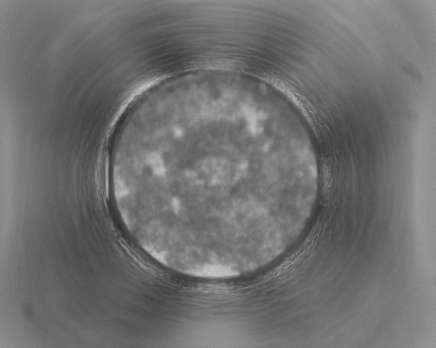 X0000115401123200912151515