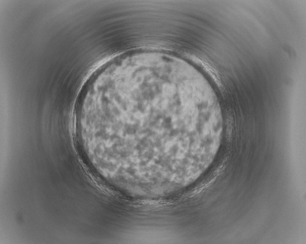 X0000115401125200912151515