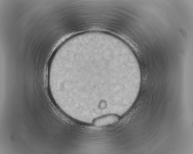 X0000115401126200912151515