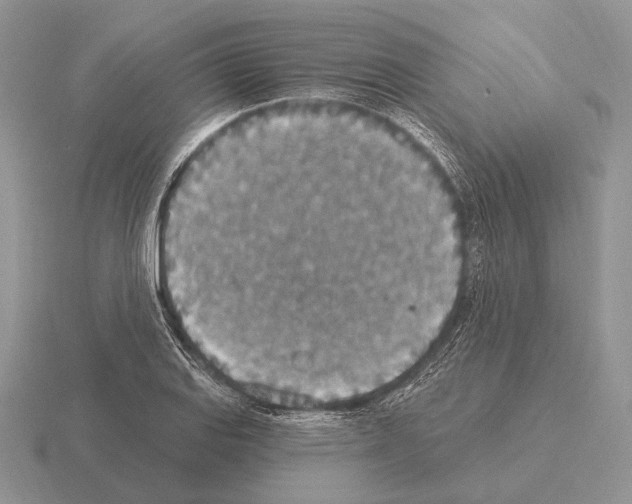 X0000115401127200912151515