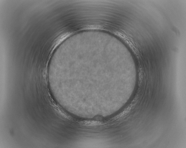 X0000115401129200912151515