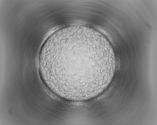 X0000115401130200912151515