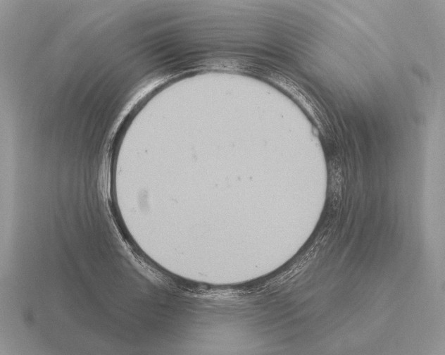 X0000115401131200912151515