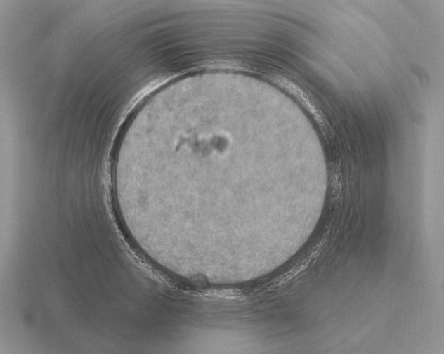 X0000115401133200912151515