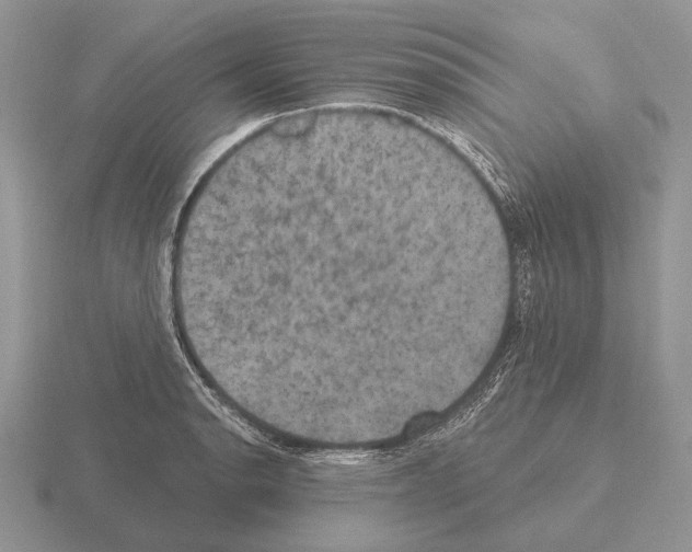 X0000115401134200912151515