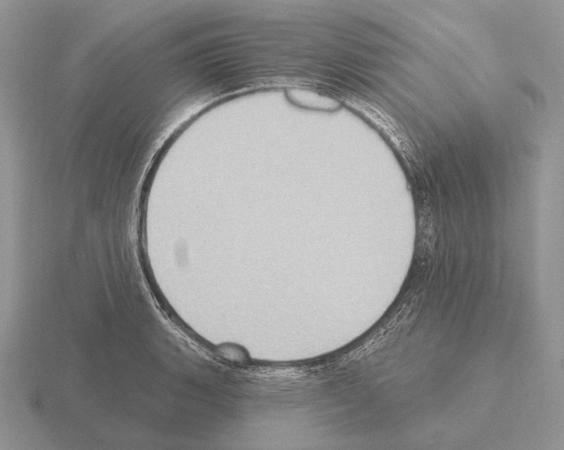 X0000115401135200912151515