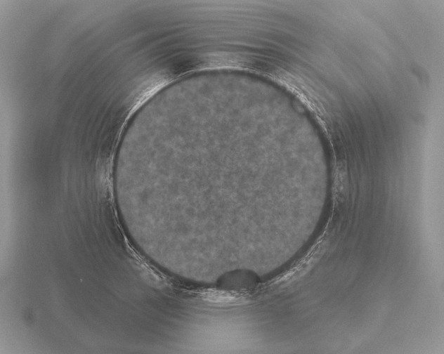 X0000115401137200912151515