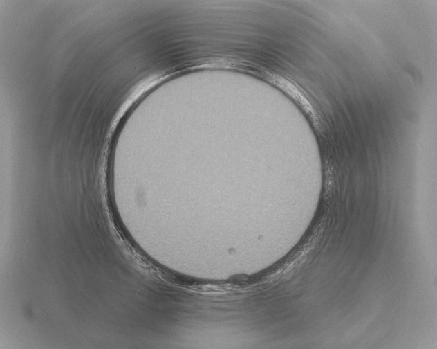 X0000115401138200912151515