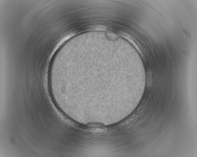 X0000115401139200912151515