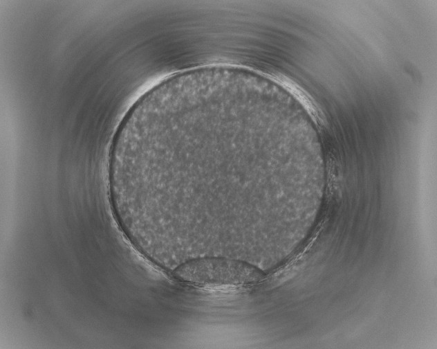 X0000115401142200912151515