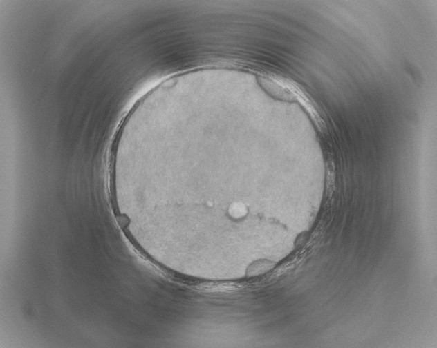 X0000115401143200912151515