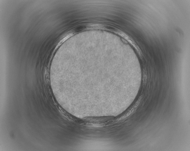 X0000115401145200912151515